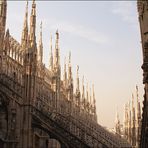 Duomo Milano III