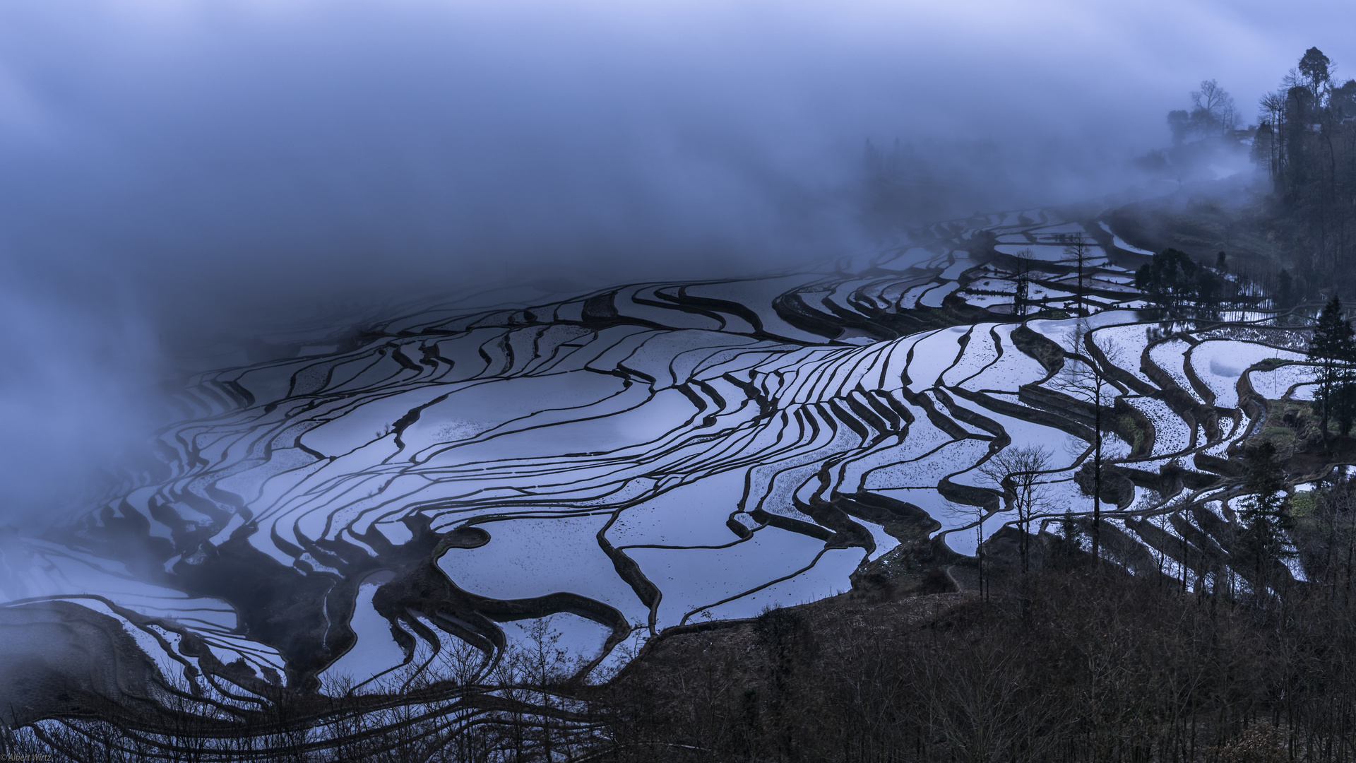 *Duoyishu @ blue hour*