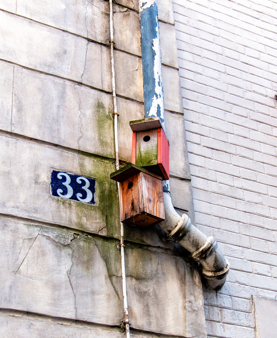 Duplex à louer. 