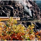 Durango & Silverton Narrow Gauge Railroad