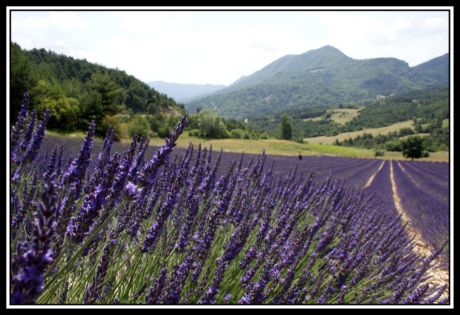 Durante un giro in provenza...