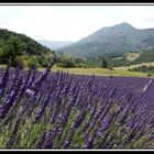 Durante un giro in provenza...