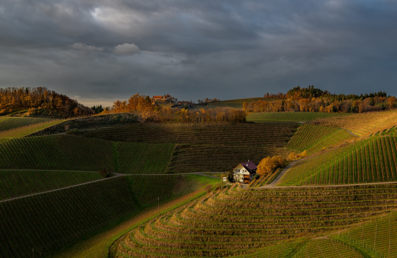 Durbach. Herbst.