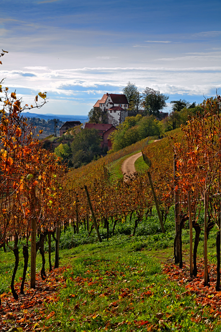 Durbach im Herbst