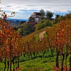 Durbach im Herbst