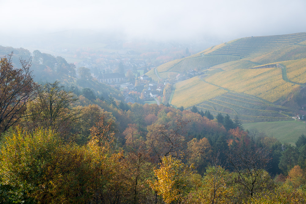 Durbach im Morgennebel