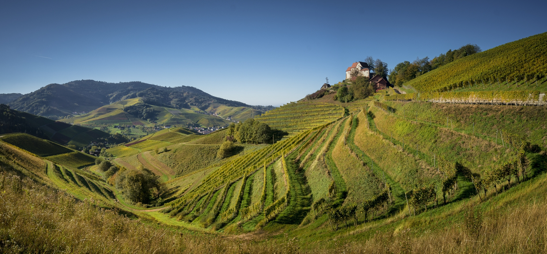 Durbach Panorama