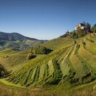 Durbach Panorama