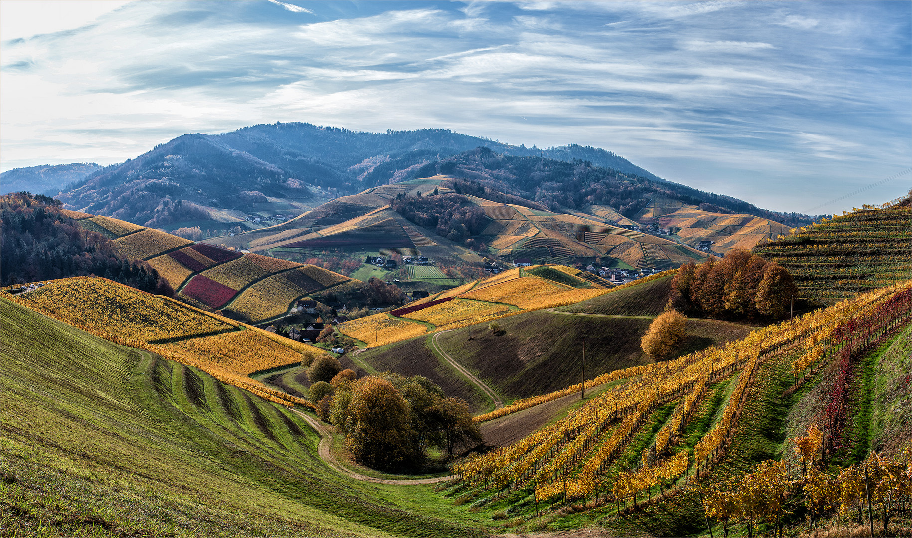 DURBACHER WEINBERGE.