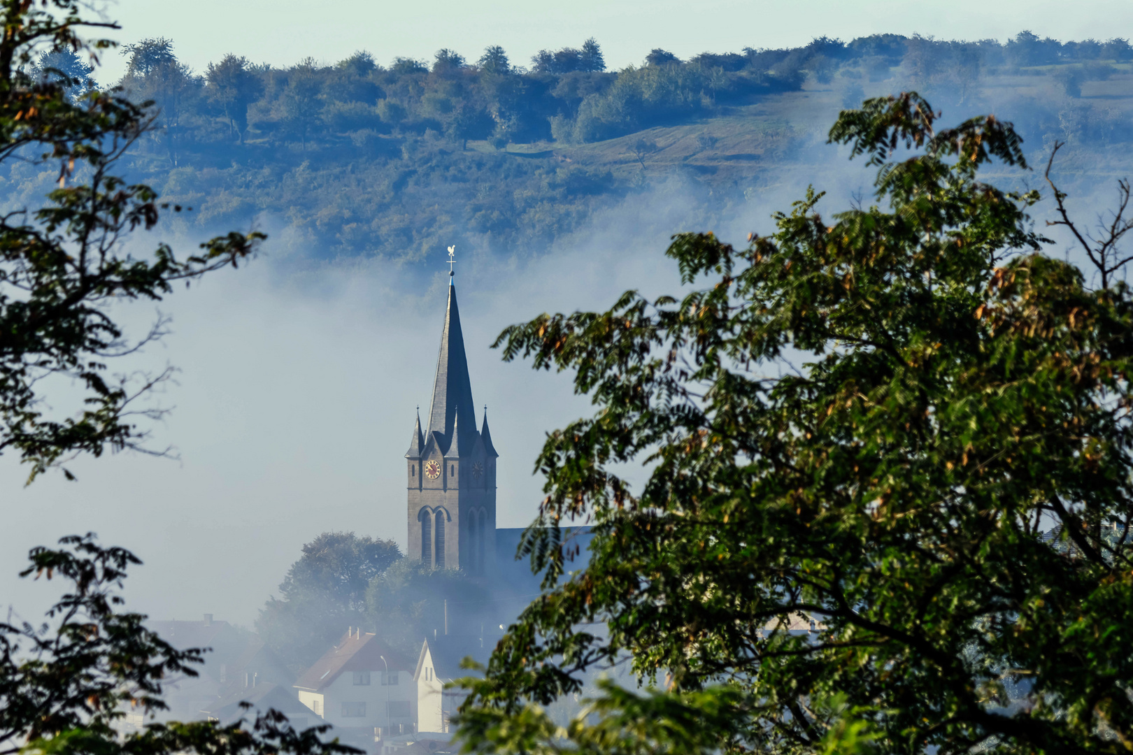 Durch Bäume und Nebel ....