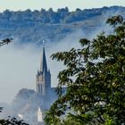 Durch Bäume und Nebel ....