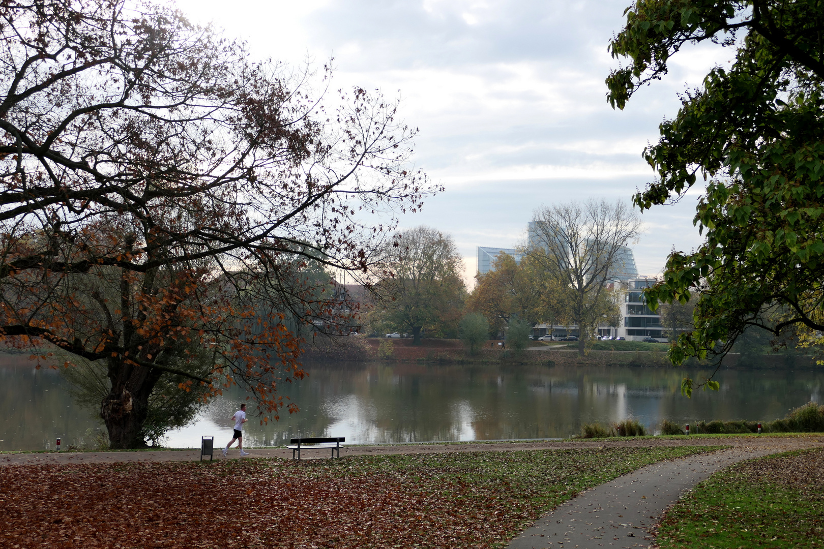 Durch-Blick zum Aasee