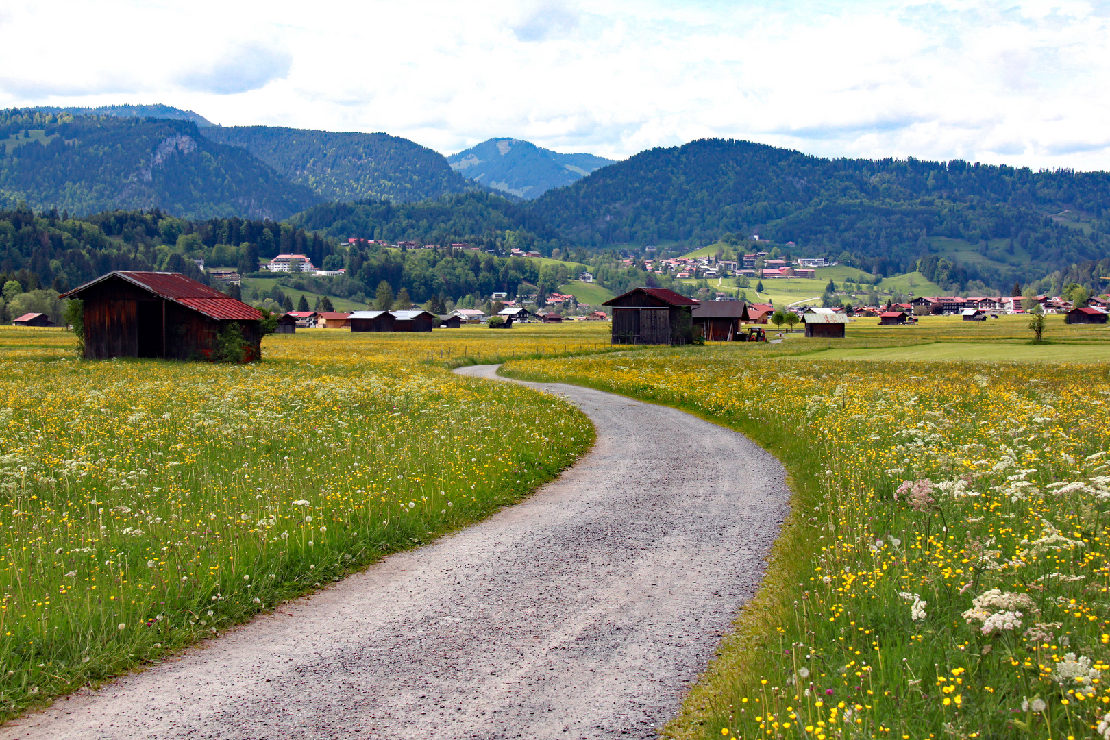 Durch blühende Wiesen