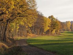 Durch das  Angersbachtal