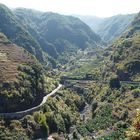 Durch das Barranco del Agua zum Los Tilos