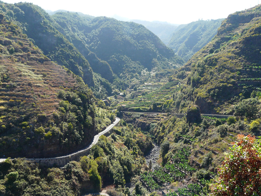 Durch das Barranco del Agua zum Los Tilos