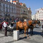 Durch das historische Prag - 3