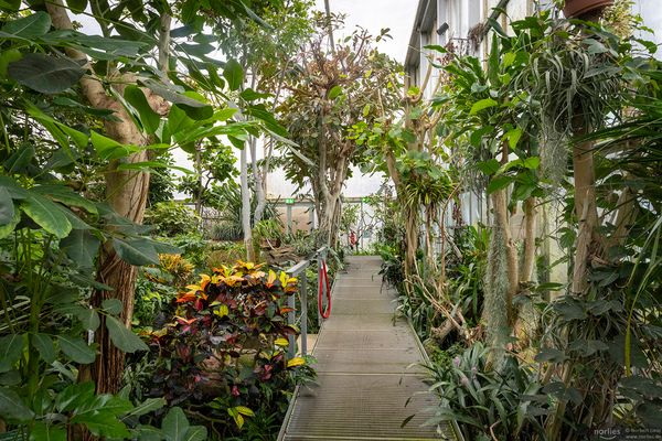 Durch das Pflanzenschauhaus