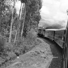 Durch das Urubambatal zum "km 104"