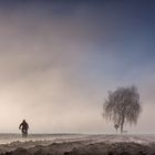 durch den aufziehenden nebel ...