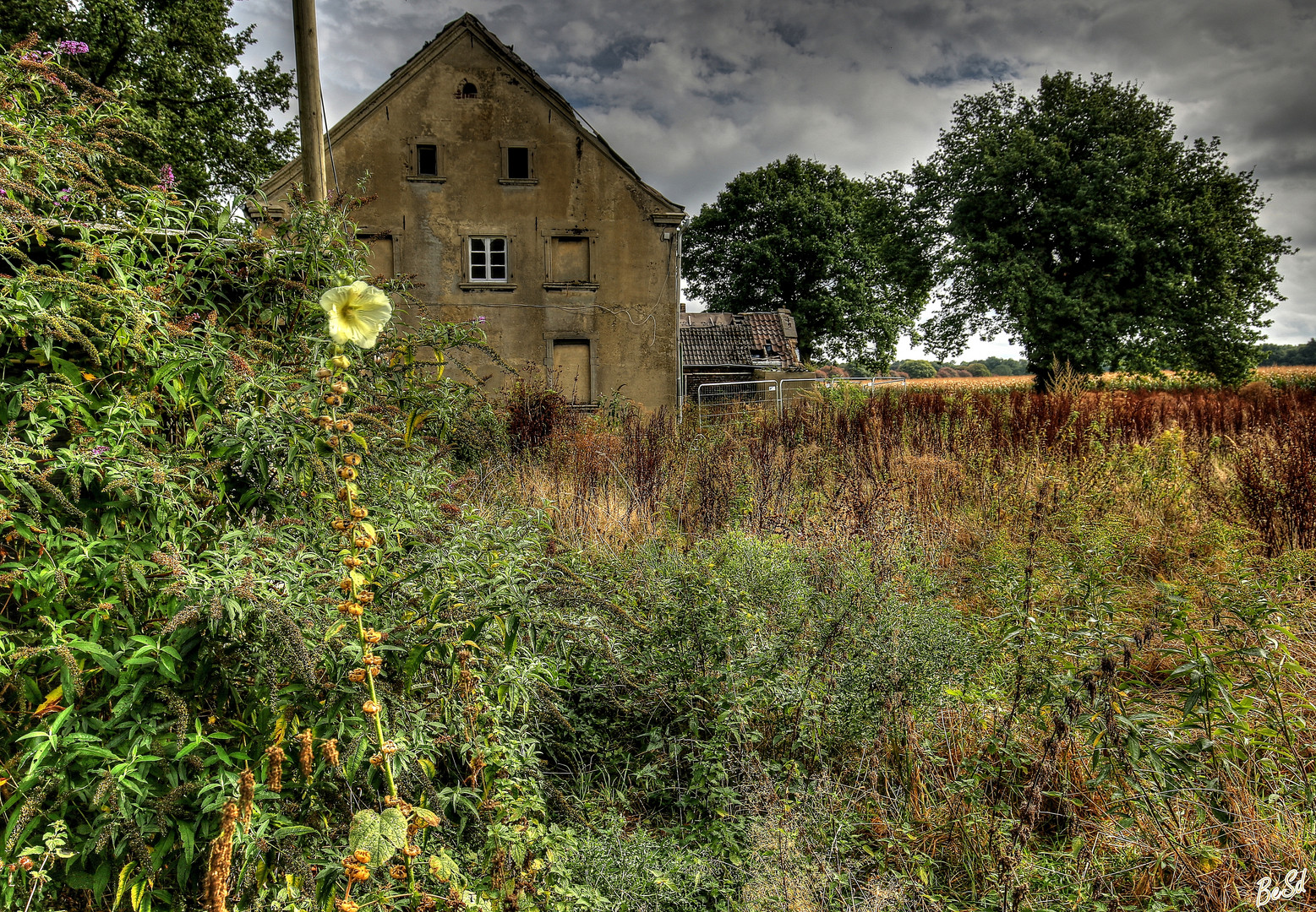 Durch den Bauerngarten....