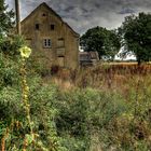 Durch den Bauerngarten....