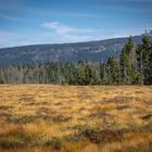 Durch den Harz zum Brocken