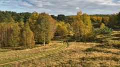 durch den Herbst