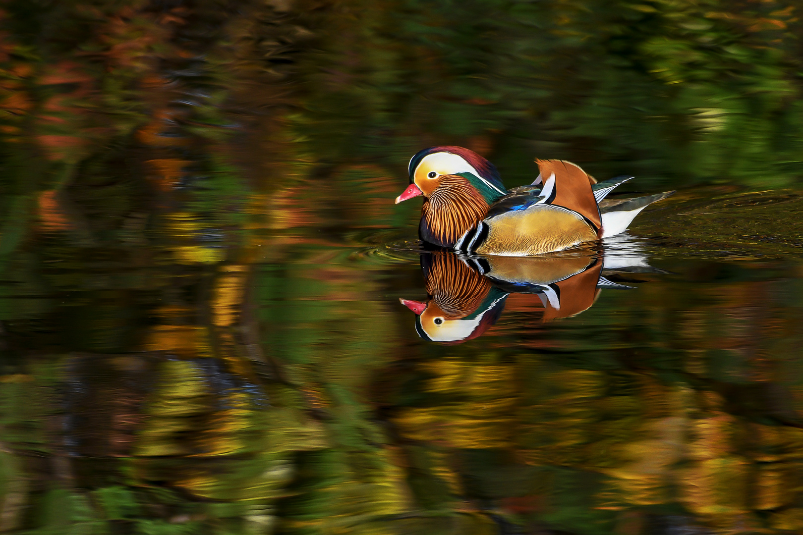 Durch den Herbst