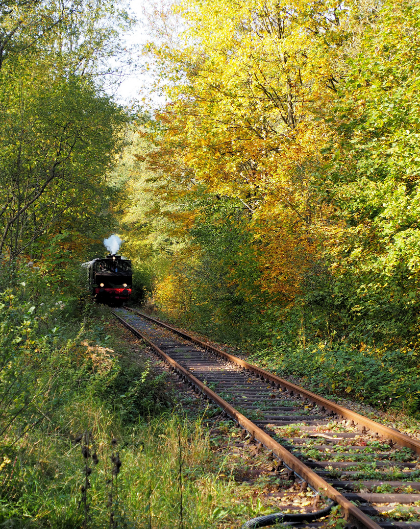 Durch den Herbst dampfen...