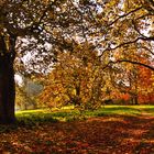 durch den Herbst spaziert