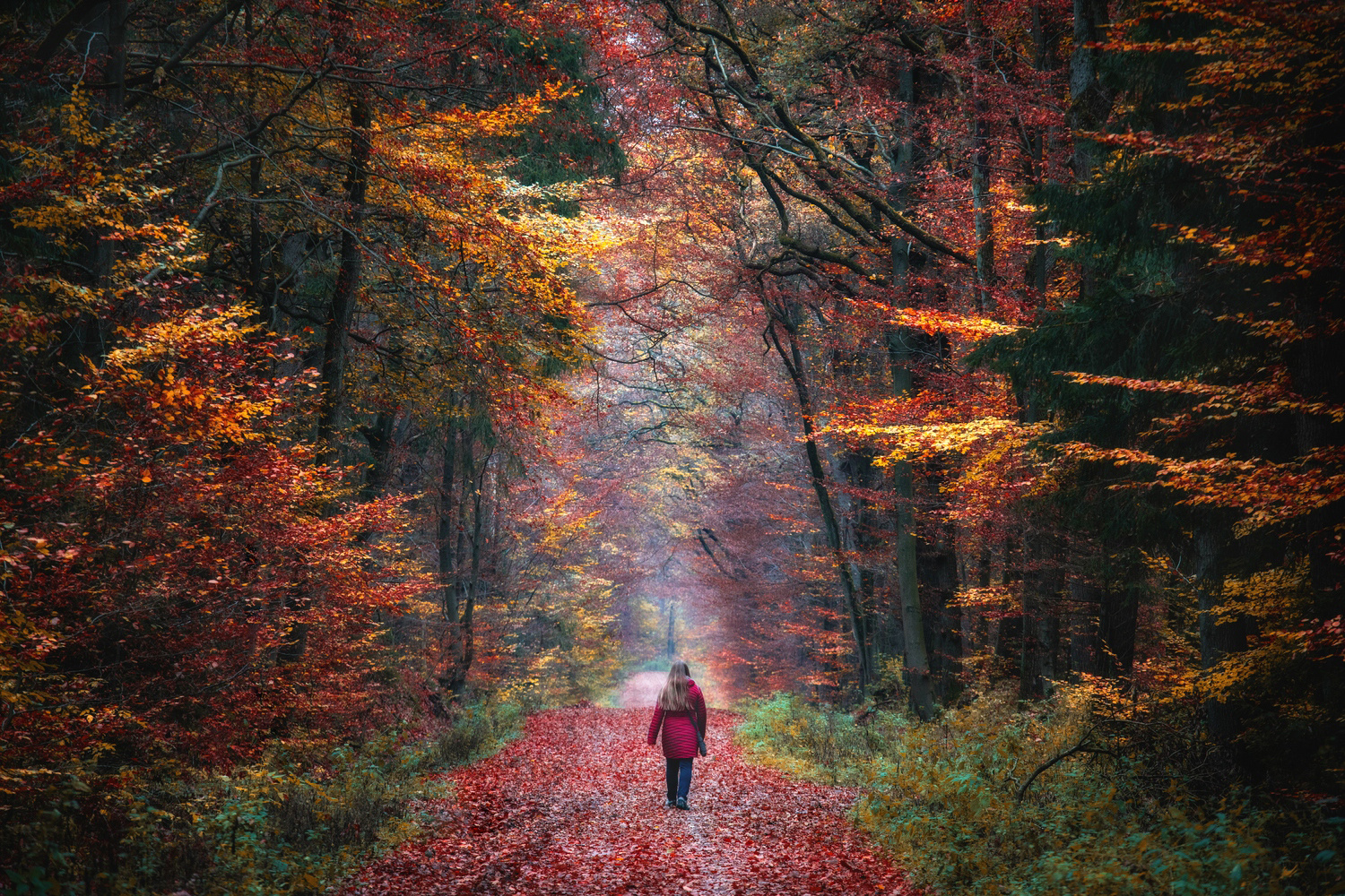 Durch den herbstlichen Tunnel