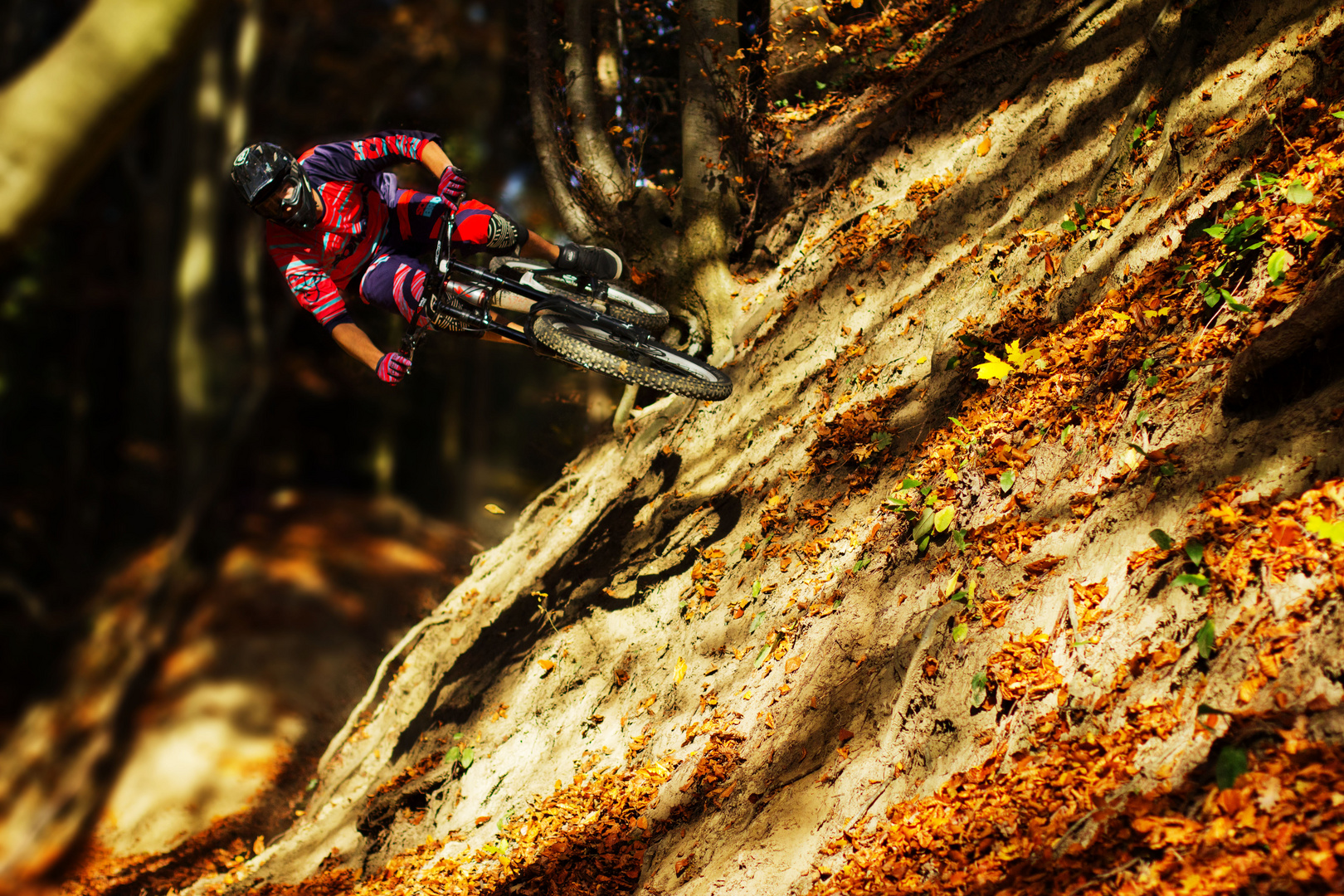 Durch den Herbstwald Fliegen