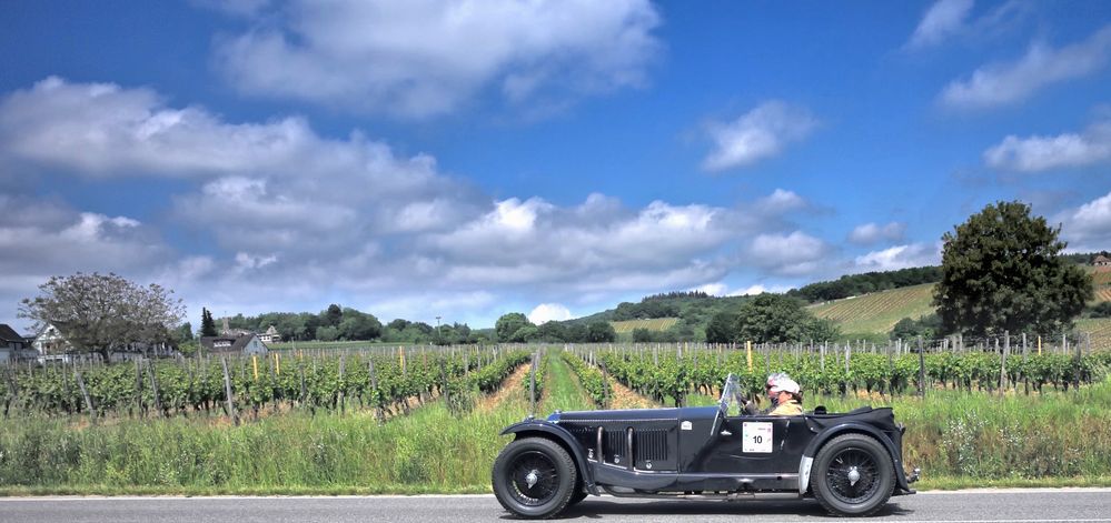 Durch den herrlichen Rheingau...