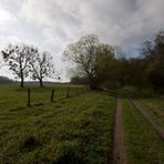 Durch den Müritz-Nationalpark 2