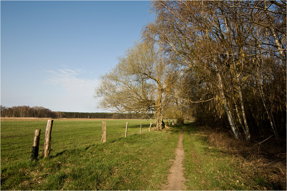 Durch den Müritz-Nationalpark 4