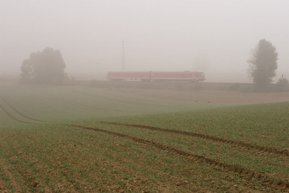 Durch den Nebel