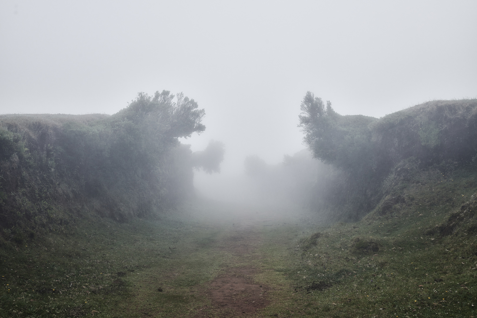 Durch den Nebel