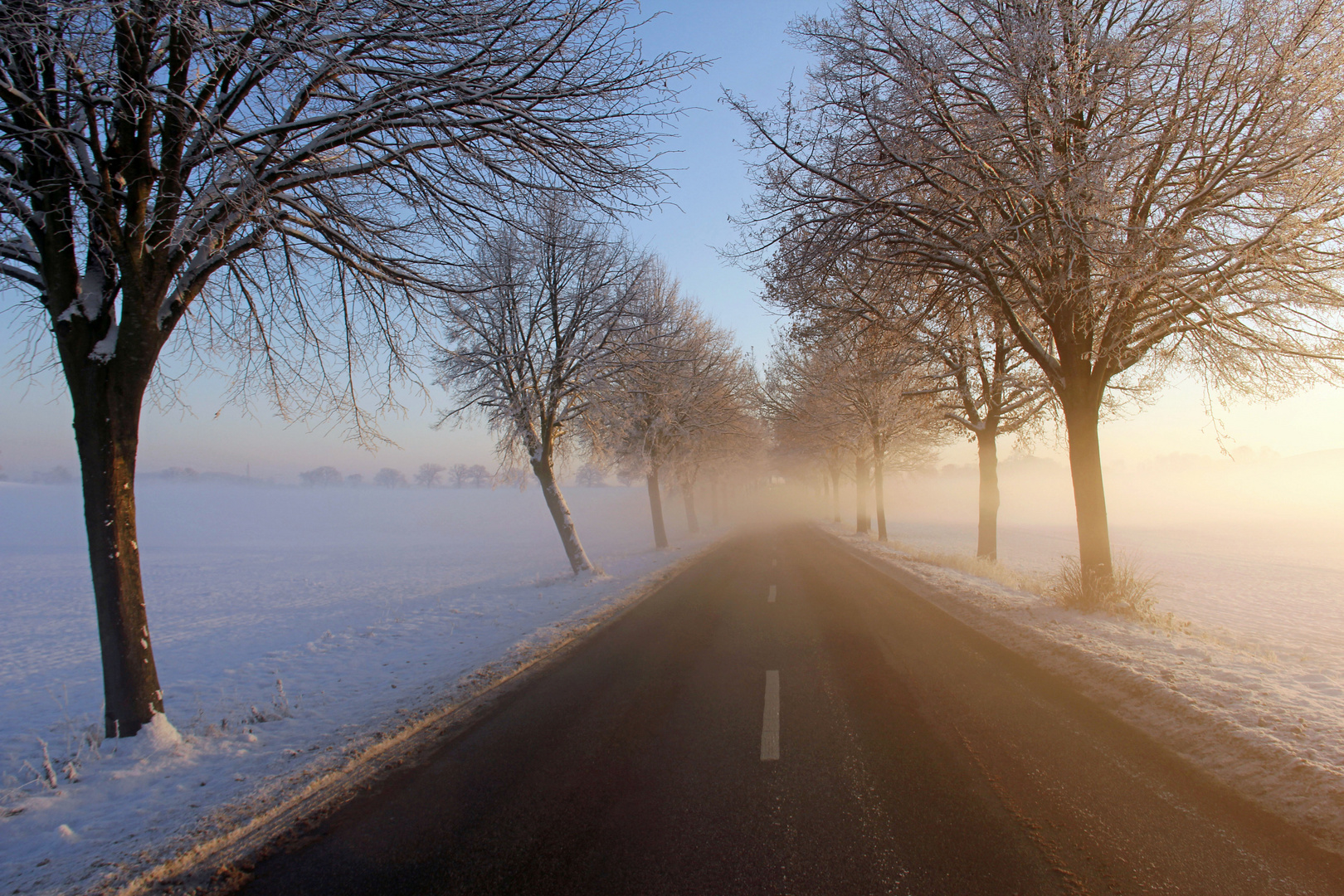 Durch den Nebel