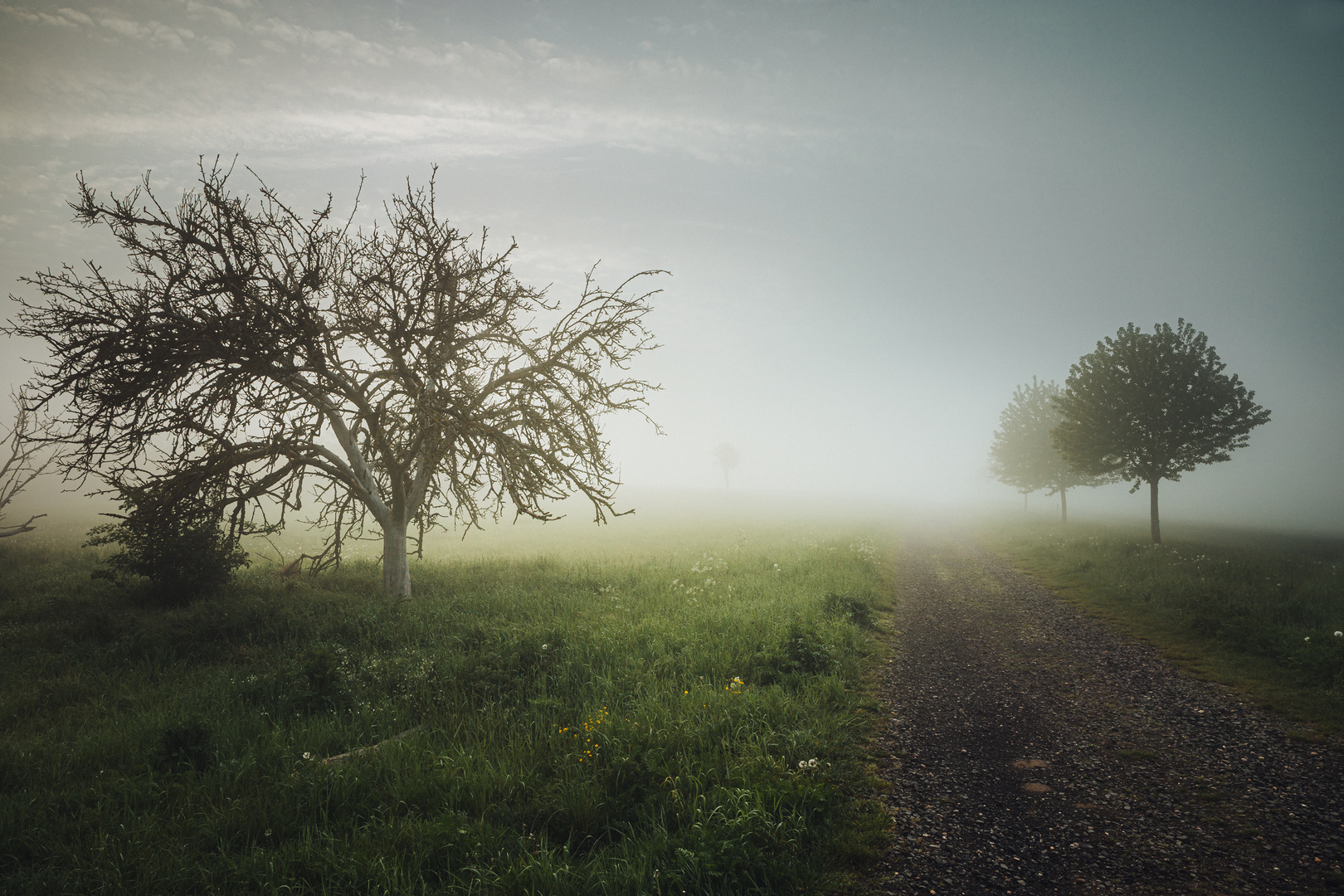 Durch den Nebel