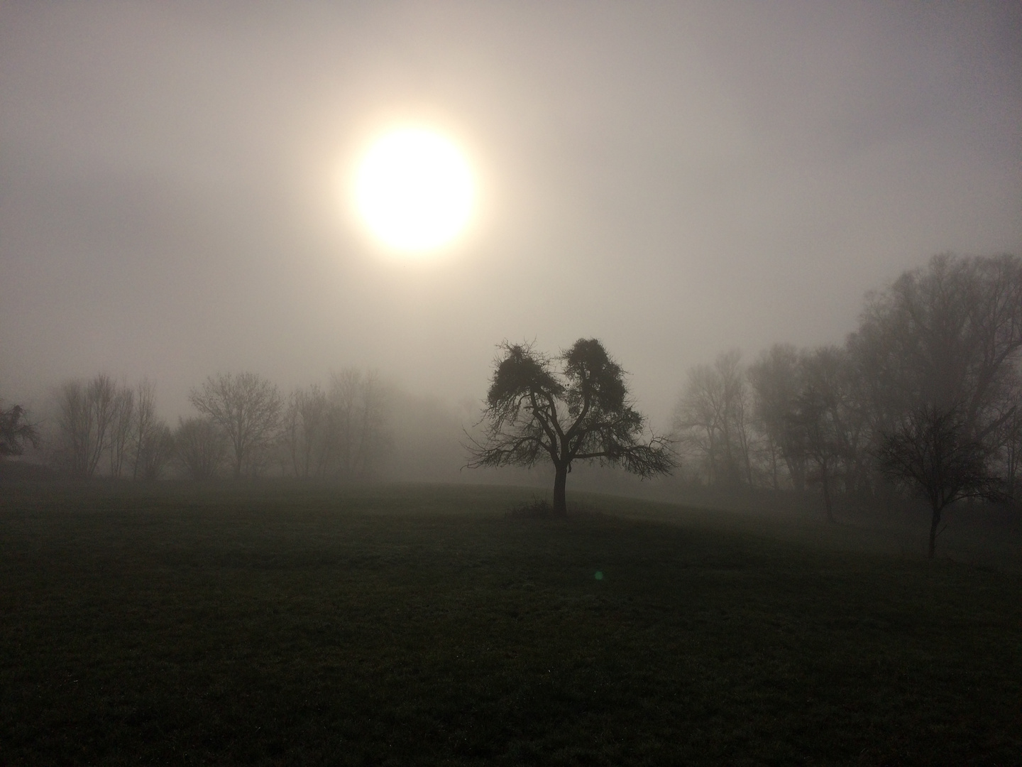 Durch den Nebel