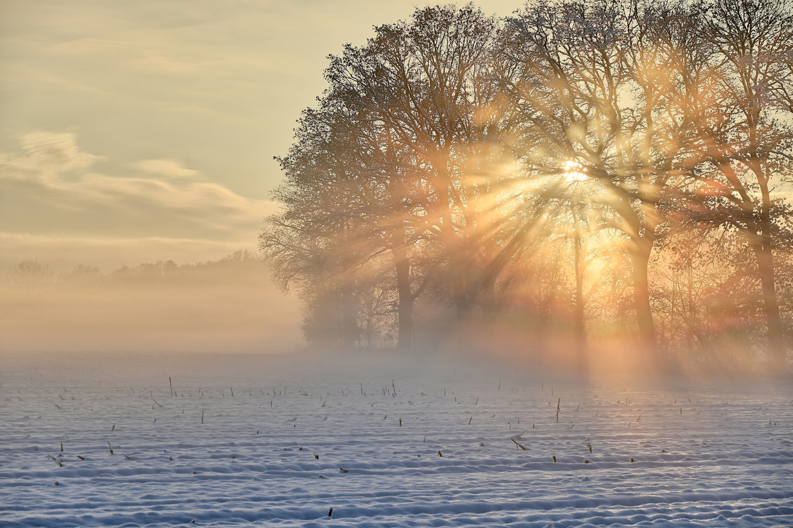 durch den Nebel...