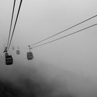 Durch den Nebel hinauf zur Kanzelwand – Kleinwalsertal.