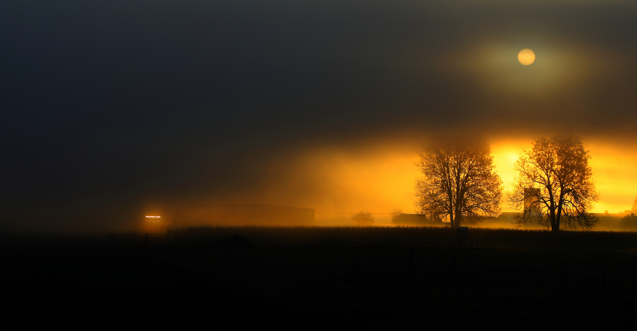 Durch den Nebel in die Sonne