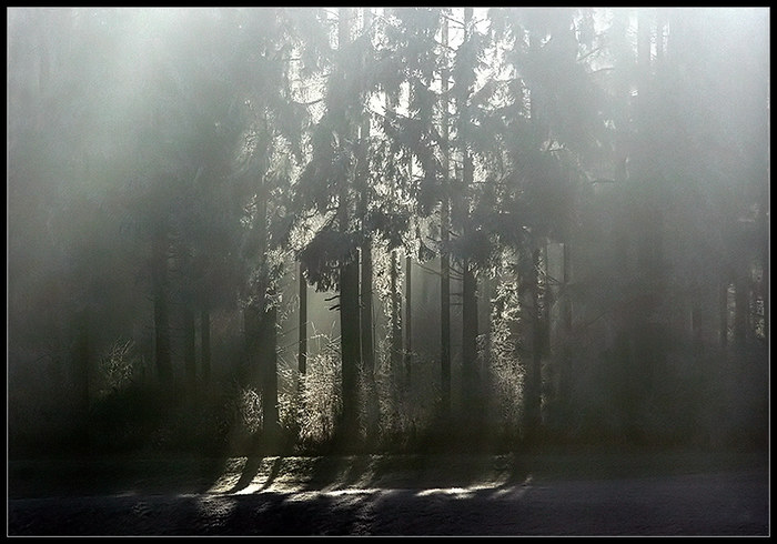 durch den nebel scheinendes licht