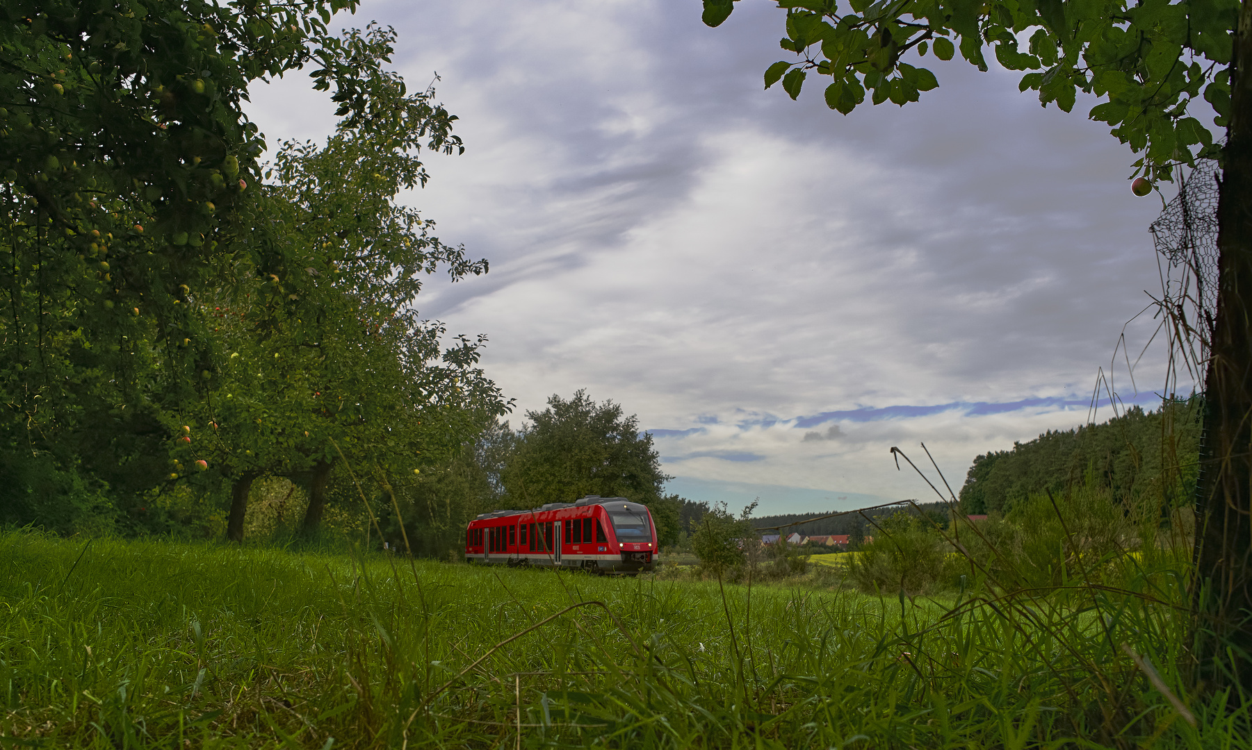 Durch den Obstgarten