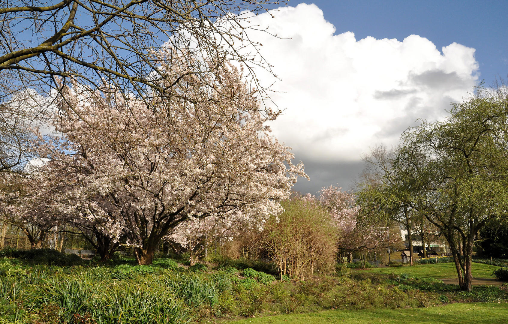 Durch den Park aufs Wetter geblickt