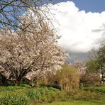 Durch den Park aufs Wetter geblickt