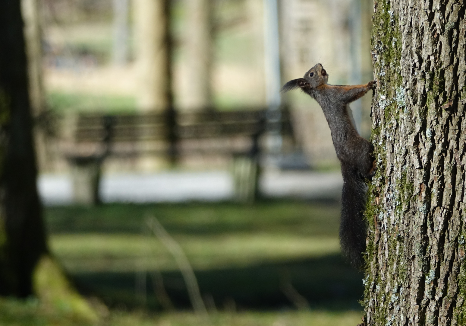 durch den Park