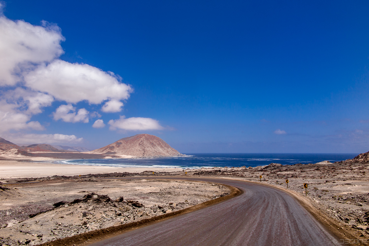 Durch den Parque Pan de Azucar in Chile